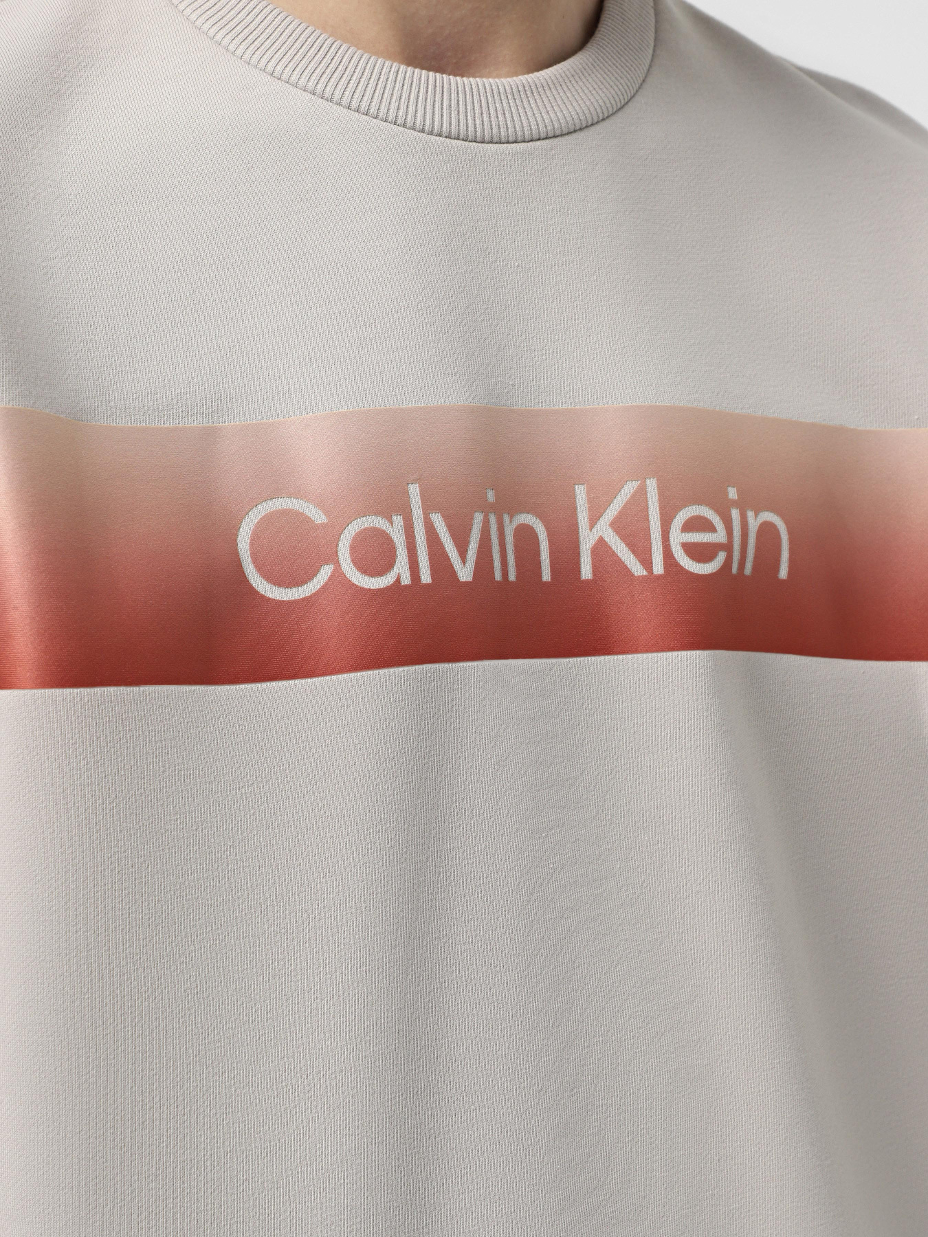 Світшот Calvin Klein модель K10K114263-PBQ Світшот Calvin Klein модель K10K114263-PBQ Фото