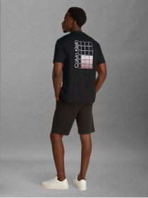 Футболка Calvin Klein модель K10K114164-BEH Фото