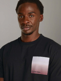 Футболка Calvin Klein модель K10K114164-BEH Фото