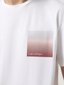 Футболка Calvin Klein модель K10K114164-YAF Фото