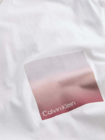 Футболка Calvin Klein модель K10K114164-YAF Фото