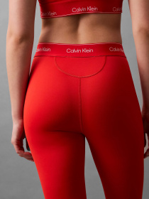 Легінси спортивні Calvin Klein Модель LVGWS5L609-VO3 Фото