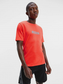 Футболка Calvin Klein модель 00GMS1K142-610 Фото