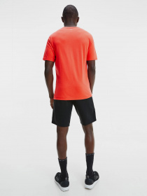 Футболка Calvin Klein модель 00GMS1K142-610 Фото