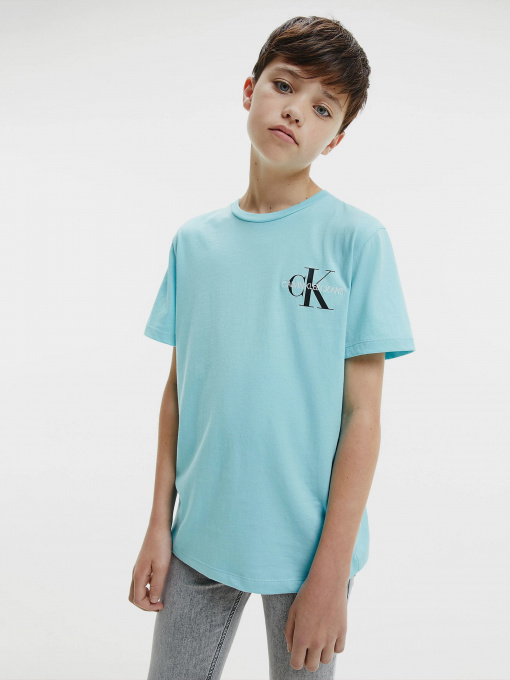 Футболки и поло Calvin Klein модель IB0IB00612-CU4 Фото