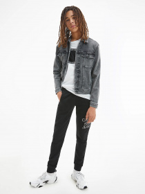 Джинсовая куртка Calvin Klein Trucker модель IB0IB00723-1BY Фото