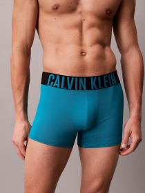Набор трусов Calvin Klein Underwear модель 000NB3775A-ZD7 Фото
