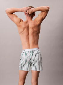 Набір трусів Calvin Klein Underwear модель LV00NB4267-0AC Фото