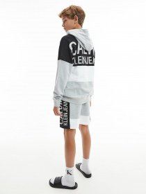 Худи Calvin Klein Colour Block Logo модель IB0IB00807-PZ2 Фото