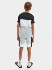 Футболки і поло Calvin Klein модель IB0IB00887-BEH Футболки і поло Calvin Klein модель IB0IB00887-BEH Фото