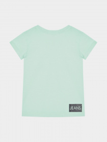 Футболки и поло Calvin Klein модель IG0IG00380-LZY Фото