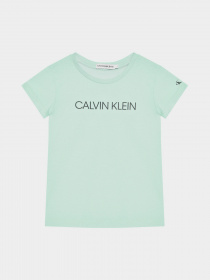 Футболки и поло Calvin Klein модель IG0IG00380-LZY Фото