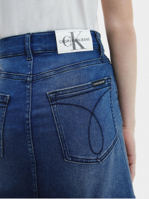 Джинсовая юбка Calvin Klein Aline модель IG0IG00789-1A4 Фото