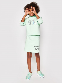 Худі Calvin Klein Hybrid Logo модель IG0IG00873-LZY Фото