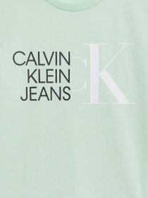 Футболка Calvin Klein модель IG0IG00888-LZY Фото