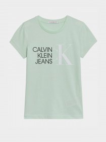 Футболка Calvin Klein модель IG0IG00888-LZY Фото