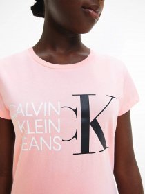 Футболка Calvin Klein модель IG0IG00888-TIQ Фото