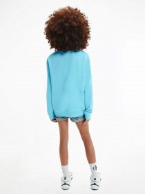 Свитшот Calvin Klein Monogram Logo модель IU0IU00069-CU4 Фото