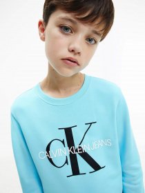Світшот Calvin Klein Monogram Logo модель IU0IU00069-CU4 Фото