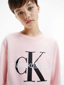 Світшот Calvin Klein Monogram Logo модель IU0IU00069-TIQ Фото