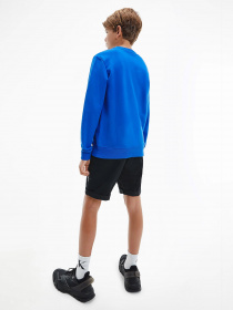 Світшот Calvin Klein модель IU0IU00069-C66 Фото