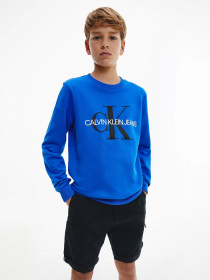 Світшот Calvin Klein модель IU0IU00069-C66 Фото