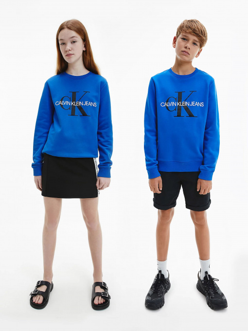 Свитшот Calvin Klein модель IU0IU00069-C66 Фото