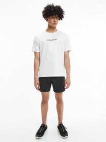 Футболки і поло Calvin Klein модель 00GMS1K265-100 Фото