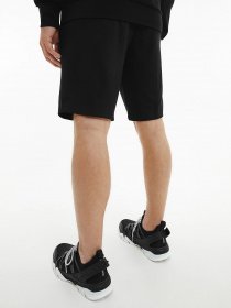 Повседневные шорты Calvin Klein модель 00GMS1S828-007 Фото