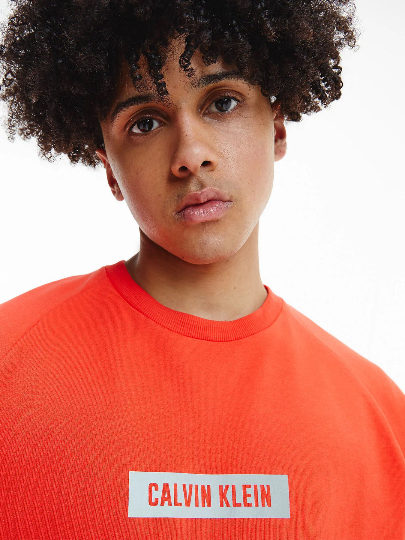 Свитшот Calvin Klein модель 00GMS1W360-610 Фото