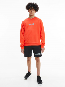 Свитшот Calvin Klein модель 00GMS1W360-610 Фото