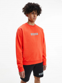 Свитшот Calvin Klein модель 00GMS1W360-610 Фото