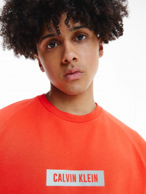 Світшот Calvin Klein модель 00GMS1W360-610 Фото