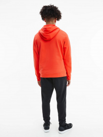 Худи Calvin Klein модель 00GMS1W361-610 Фото