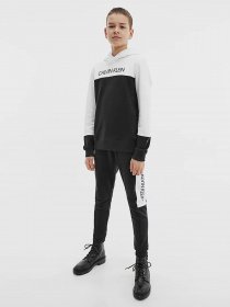 Спортивний костюм Calvin Klein модель IB0IB00952-BEH Фото