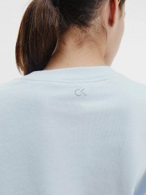 Джемпер Calvin Klein модель 00GWS1W302-407 Фото