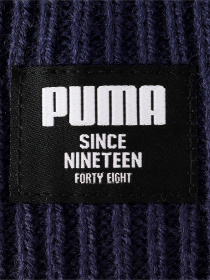 Шапка PUMA CLASSIC модель 02283102 Фото