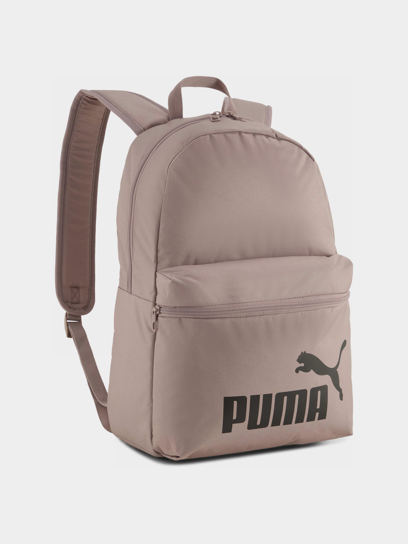 Повседневный рюкзак PUMA PUMA PHASE модель 09116434 Фото