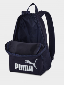 Рюкзаки PUMA Phase модель 07548743 Фото