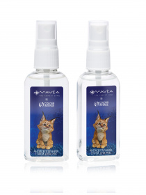 Антисептический спрей для рук Colour Intense x Mavka Colour Intense модель 4823123300637 Фото