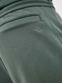 Штаны спортивные Calvin Klein Jeans модель J30J317688_LDT Фото