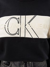Джемпер Calvin Klein Jeans модель J20J216448_BEH Фото