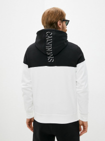 Джемпер Calvin Klein Jeans Colorblock Shadow Logo модель J30J319364_BEH Фото