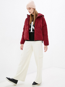 Зимняя куртка Calvin Klein Jeans модель J20J216867_XKF Фото