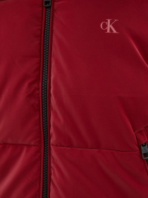 Зимова куртка Calvin Klein Jeans модель J20J216867_XKF Фото