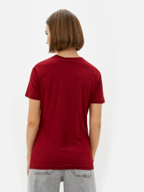 Футболки и поло Calvin Klein Jeans модель J20J217314_XKF Фото