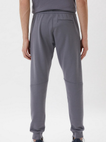 Повседневные штаны Calvin Klein Jeans модель J30J319652_PTP Фото