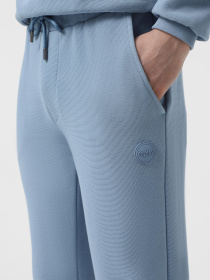 Джогери Colmar модель 6155R-1XL-202 Фото