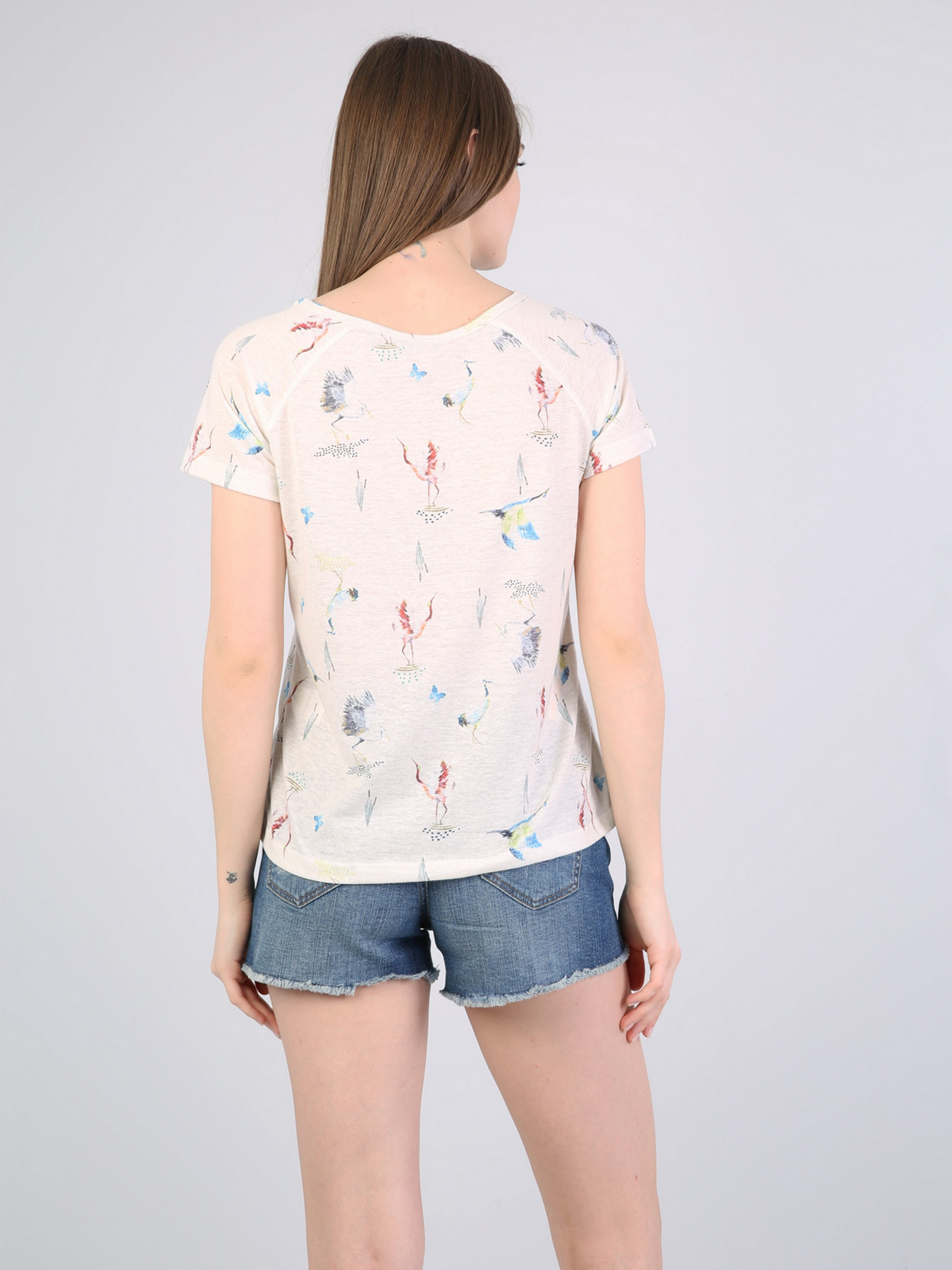 Футболки и поло Colin’s модель CL1042318ECR Футболки и поло Colin’s модель CL1042318ECR Фото