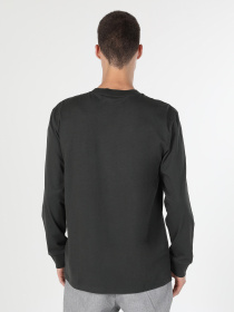 Лонгслів Colin’s модель CL1059666ANT Фото